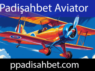 Padişahbet aviator oyunuyla para kazandıran düzeydedir.
