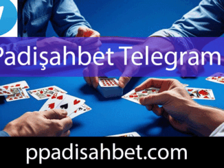 Padişahbet telegram resmi kanalıyla aktif durumdadır.