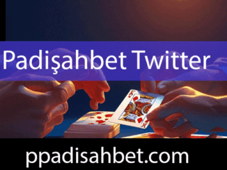 Padişahbet twitter resmi hesabıyla kayda değerdir.