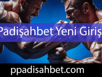 Padişahbet yeni giriş adresiyle aktifçe formattadır.